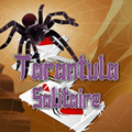 Tarantula solitaire
